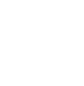 QR Icon